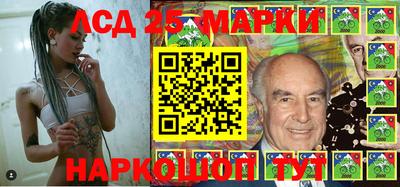 гашик Камышлов
