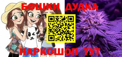 гашик Камышлов