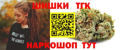 гашик Камышлов