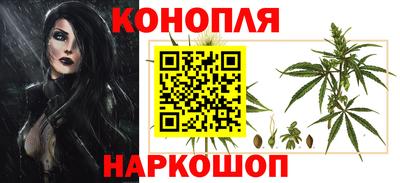 гашик Камышлов