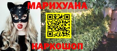 гашик Камышлов