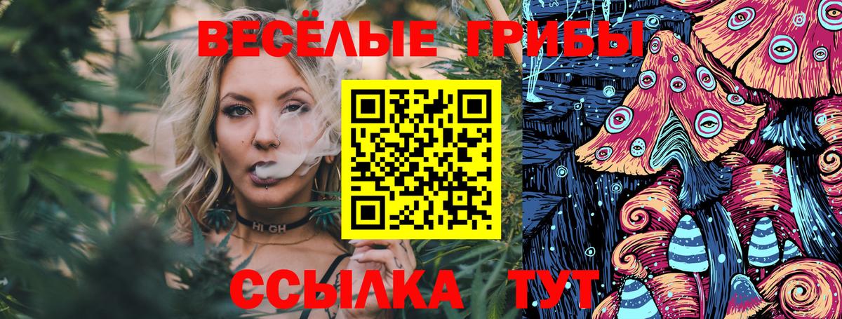 Псилоцибиновые грибы GOLDEN TEACHER Курчатов