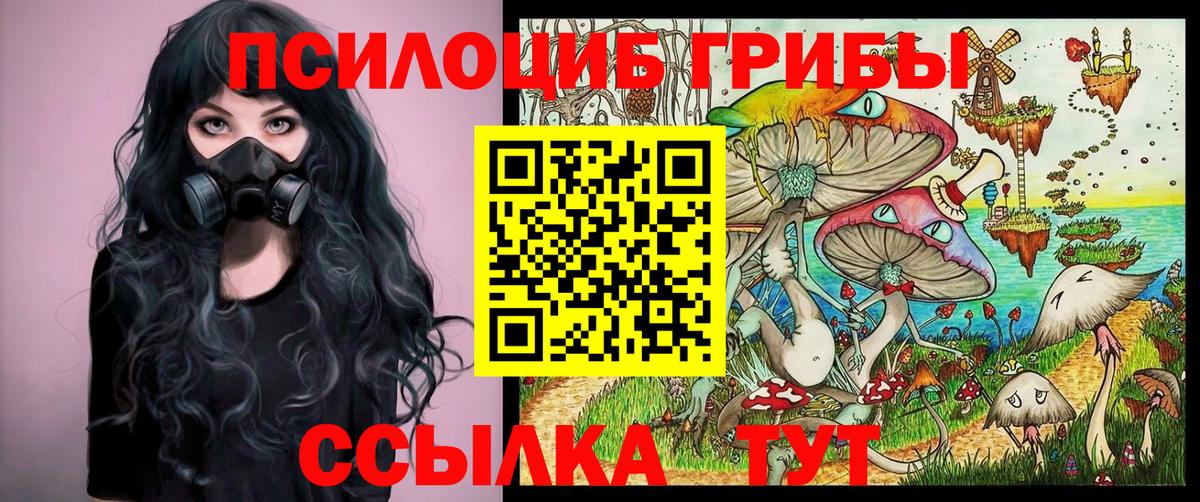 Курчатов  Галлюциногенные грибы прущие грибы  Вход с VPN 